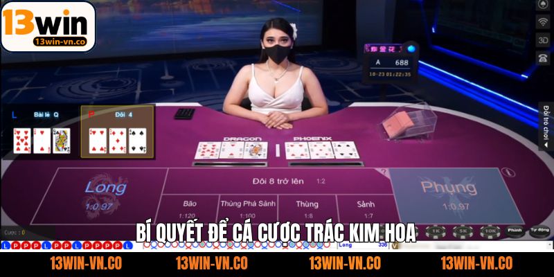 Bí kíp nâng cao kỹ năng đánh bài từ cao thủ