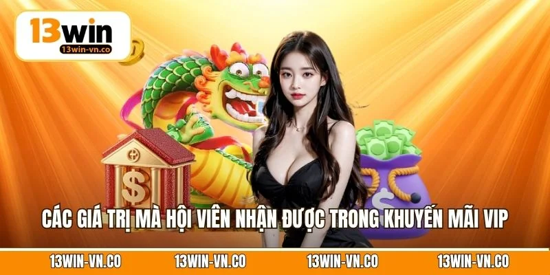 Các giá trị mà hội viên nhận được trong khuyến mãi VIP