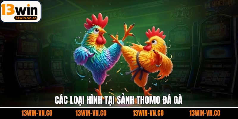 Thomo Đá Gà - Sân Chơi Giải Trí Hàng Đầu Tại 13Win 3 Các loại hinh chọi gà Thomo nổi bật