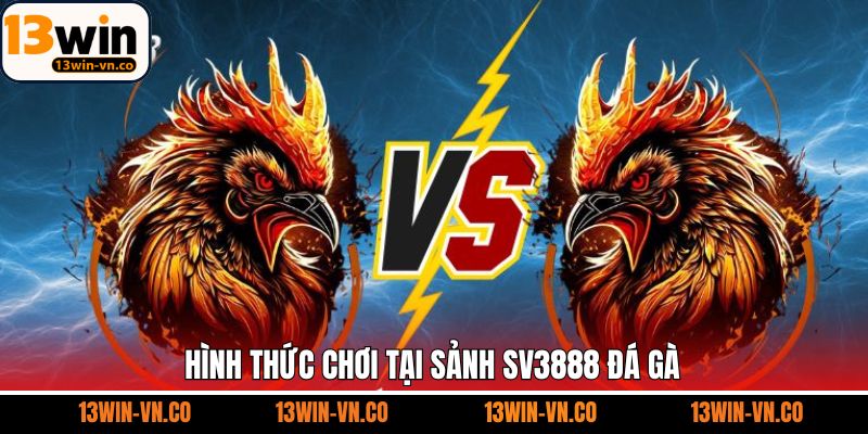 Một vài loại hình chọi kê đỉnh cao trên sảnh SV388 đá gà