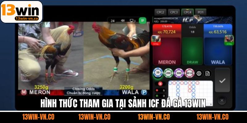 ICF đá gà - Khám phá các loại hình giải trí hot hit hàng đầu