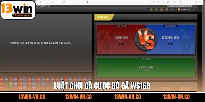 Nắm rõ luật tham gia đá gà WS168