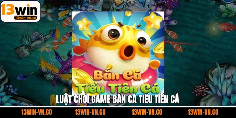 Nắm rõ về luật chơi khi tham gia bắn cá tiểu tiên cá