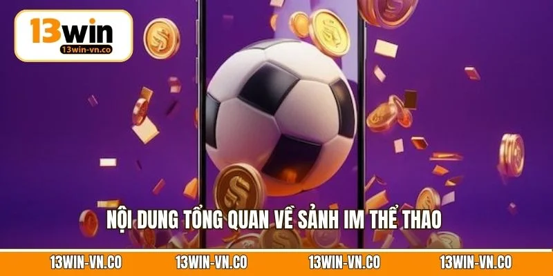 Thể Thao IM 13Win - Trải Nghiệm Sân Chơi Cá Cược Đỉnh Cao 2 Nội dung tổng quan về sảnh IM thể thao