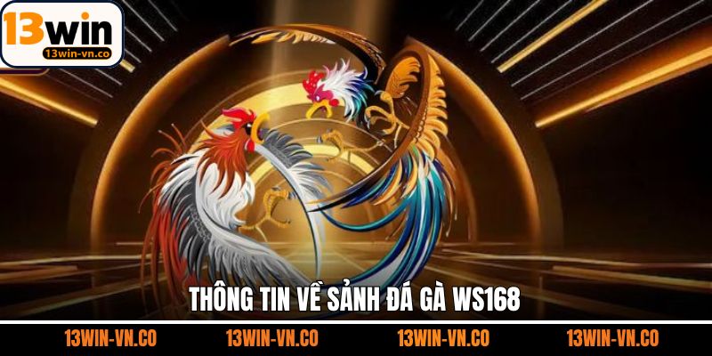 Một vài thông tin tổng quan về sảnh chọi kê WS168