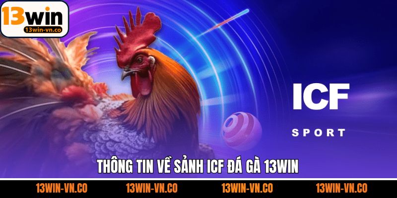 Tổng quan về sảnh đá gà ICF tại nhà cái 13Win 