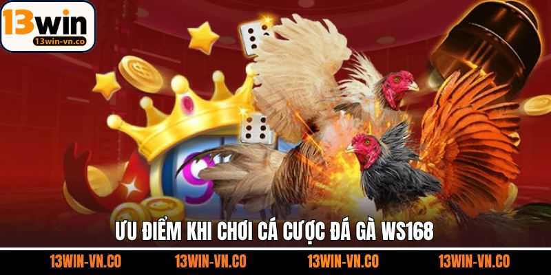 Một vài điểm mạnh vượt trội khi trải nghiệm chọi kê WS168